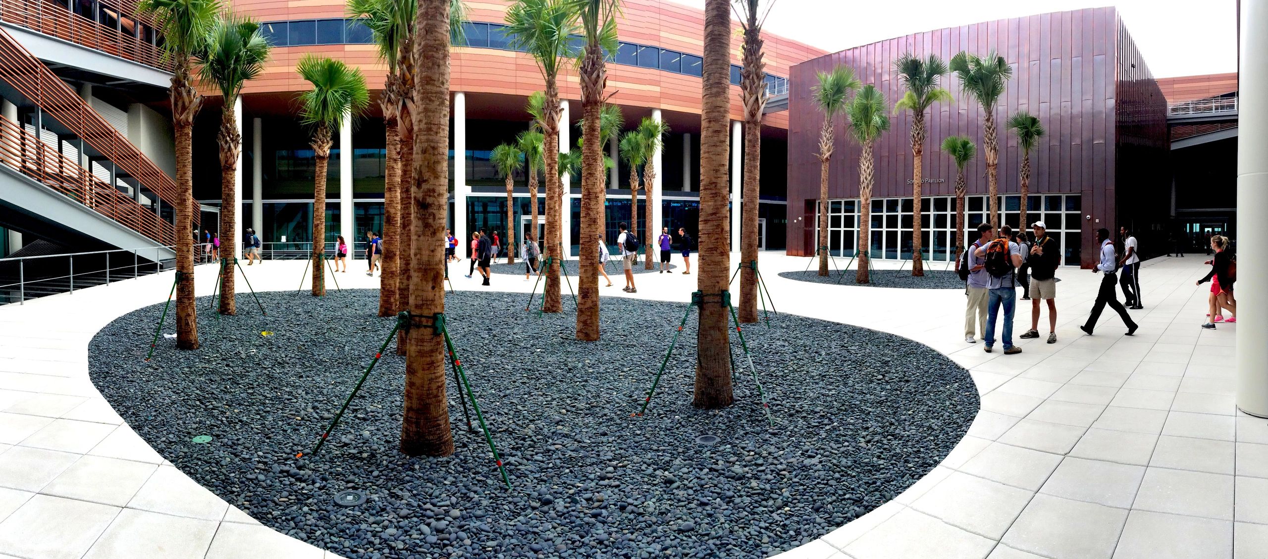 Black half to one — USC Darla Moore School of Business