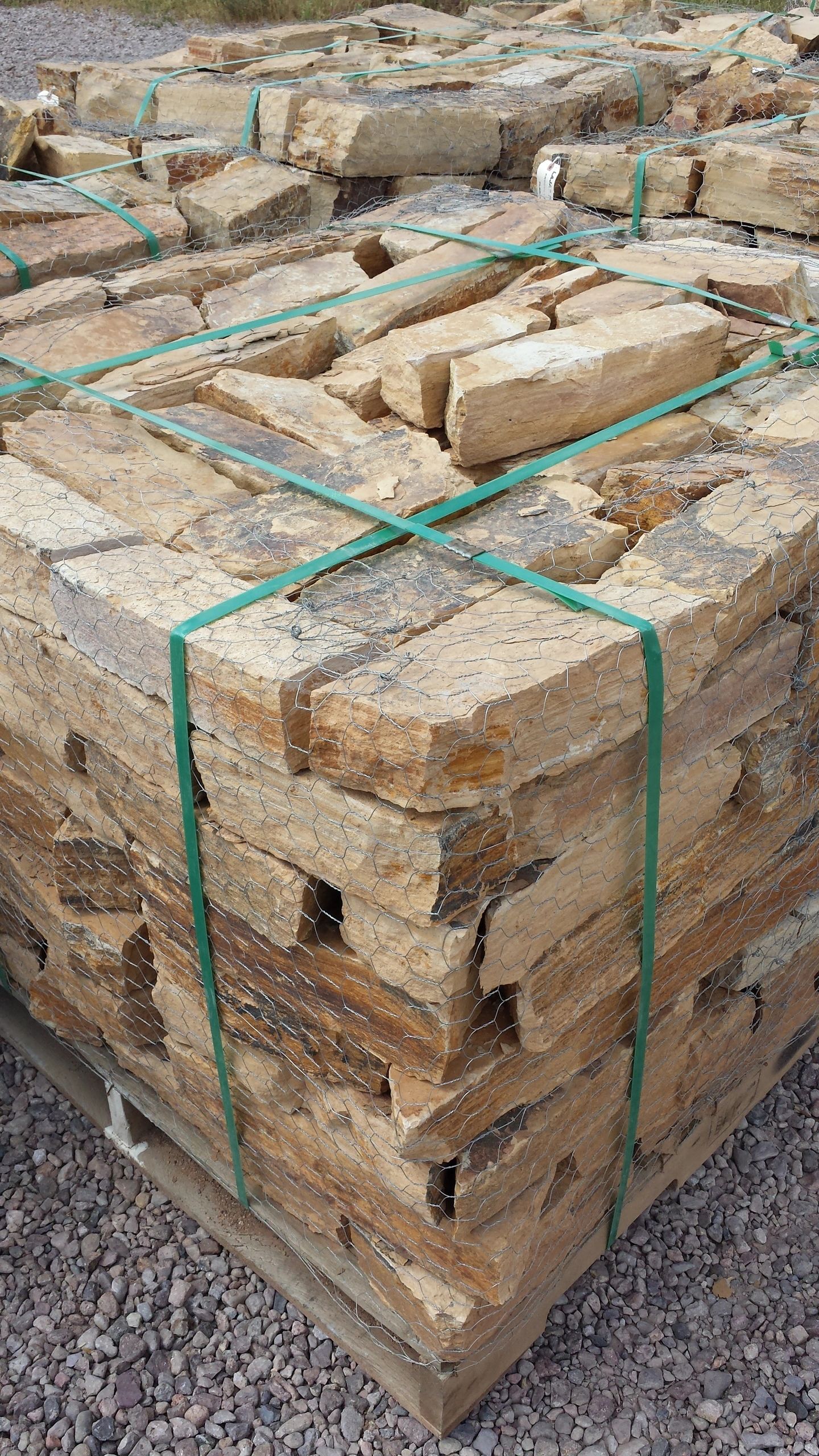 Sonoran Gold snapped ledger stone